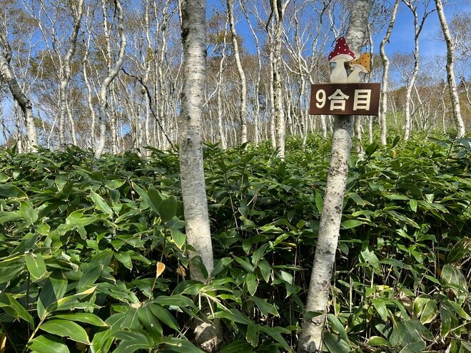 【第5回 コロンビア アウトドア アカデミー】 札幌から1時間、初心者に最適！  支笏湖を望む「絶景登山」ガイドツアー「イチャンコッペ山」レポートの画像009