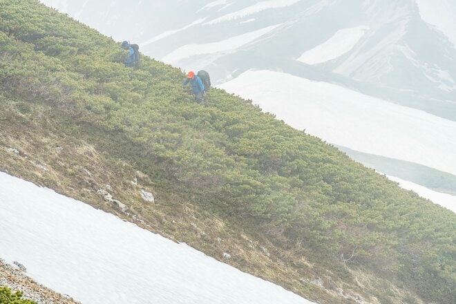 ライチョウ観察は登山道沿いがベスト！ 白馬乗鞍岳・小蓮華山のライチョウ調査へ＜長野県＞の画像009