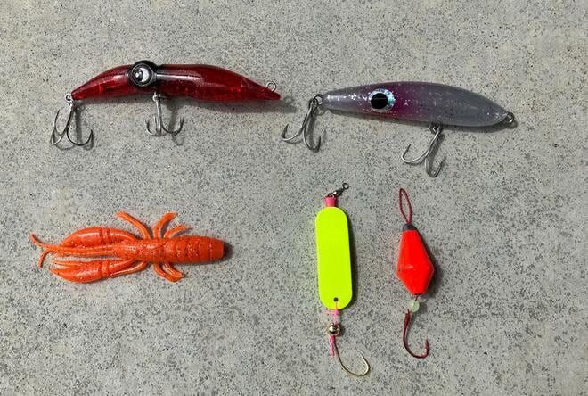 【はじめての「海釣り」での魚種選び】初心者は「カサゴ」から狙うのがおすすめ！  3つの「理由」と「釣果を出すためのコツ」とは！？の画像003
