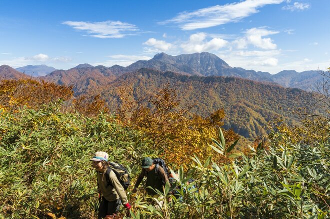 【紅葉＆登山】一面が黄色に染まるブナの原生林！ 紅葉真っ盛り！ 錦秋のトレイルを歩く中西山トレッキング 長野県長野市鬼無里・2023年の画像007