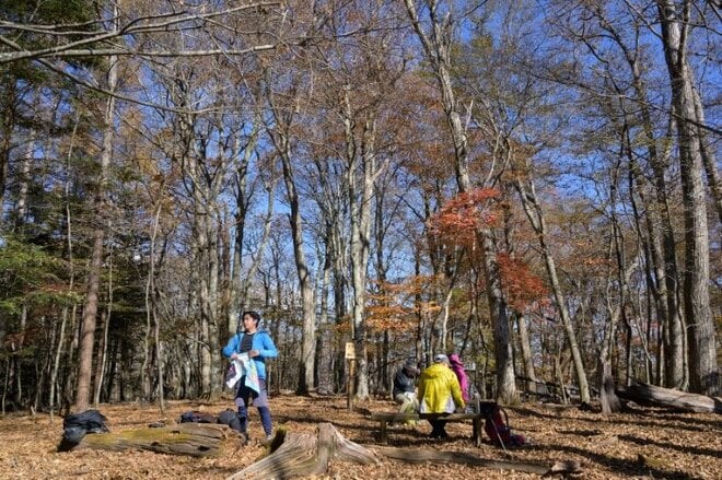 【ハイキング入門にもおすすめ】アップダウンはほとんどなし「大マテイ山の紅葉」はもうすぐ見頃の画像004