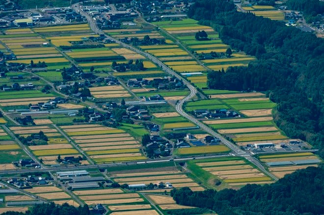 徒歩10分でアルプスの絶景！「まるでパッチワーク」長野「陣馬形山」の秋の景色とは？の画像012