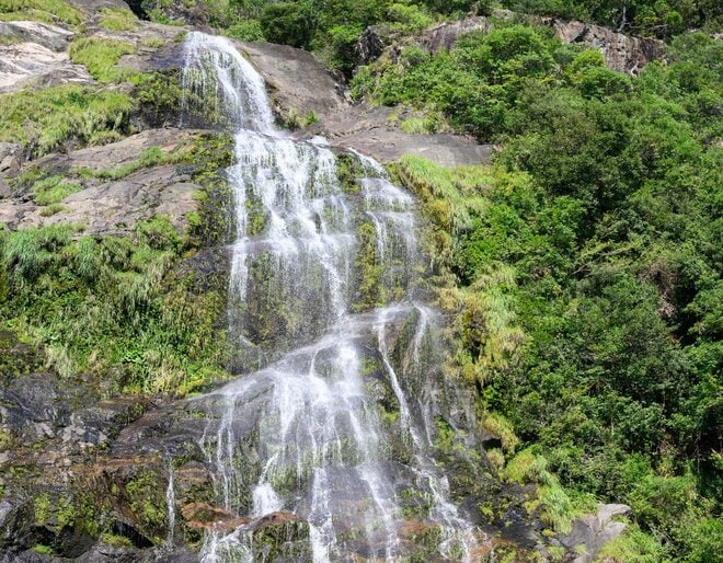 【世界自然遺産・屋久島】 屋久島をレンタカーで一周するドライブ旅「千尋の滝・大川の滝・ガジュマル・西部林道」を一日でめぐる！の画像017