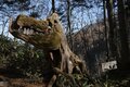 【北アルプス】大パノラマ！ 初冬の槍ヶ岳・穂高連峰を望む蝶ヶ岳へ日帰り登山《長野県》2022年の画像002