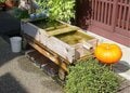 “川ガキ飛び込む水の音” 清流と名水の城下町「郡上八幡」へ＜亀尾島川 後編＞【ユーコンカワイの股旅リバログ vol.36】の画像002