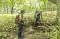 【50代から始める山登り】《第3回》ようこそ！ 素晴らしき山の世界へ。いよいよ「登山デビュー」 歩き方やマナーを学んで、安全で思い出に残る「最高の初登山」に！の画像008