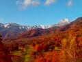 紅葉に染まる妙高の峰々に新雪が輝く！ 三段紅葉の景色が広がる「笹ヶ峰高原」 “夢見平”と“苗名滝”で秋を満喫【新潟県・2023年】の画像006