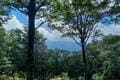 都心からも好アクセス！ 癒しの低山「三頭山」 絶景と三頭大滝＆森林セラピーロード「ブナの路コース」の “マイナスイオン” 登山レポの画像002