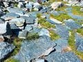 雪を頂くモンテ・ローザ山脈の絶景を望み「白い湖」と「暗い湖」をめぐる！ 「アヴィック山自然公園」の登山道（後編）【ブーツの国の街角で vol.29】の画像010