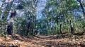 【ちょっと上手くなっちゃうかも！？】スマホで撮る「登山記録の写真」一度は試したい「2つの簡単な撮影テクニック」登山道から実践レポートの画像008