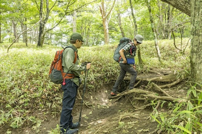【50代から始める山登り】《第3回》ようこそ！ 素晴らしき山の世界へ。いよいよ「登山デビュー」 歩き方やマナーを学んで、安全で思い出に残る「最高の初登山」に！の画像008