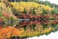 この秋に行きたい！ 至極の紅葉登山【第3回】日本最高所の野天風呂「本沢温泉」から見る「硫黄岳」！ 紅葉を逆さに映し出す神秘の「白駒池」～八ヶ岳 編～の画像008