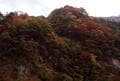 見ごろ10月下旬から！  紅葉の奥秩父「三峯神社」＆「大血川渓谷」現地レポ！  関東最大級パワースポットと渓谷美の絶景 “秋真っ盛り” 散策の画像002