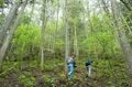 山中の植物に「春から初夏への移り変わり」を感じるお手軽ハイキングルート＜奥多摩・御前山＞の画像012