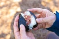 ＜おむすびにするとウマい缶詰王選手権！＞スーパーやコンビニで買える「おむすびと相性最強」の定番缶詰編【缶詰博士の缶たん”CAN”P料理 vol.24】の画像001
