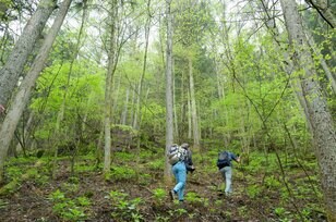【登山前に要チェック】通行止め状況など2022年5月「奥多摩エリア最新登山道状況」インフォメーション