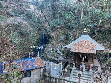 山口一郎 「Mountain」値下げ！ 早春の “足ならし” に「高尾山＆小仏城山」ハイキング！ 澄んだ