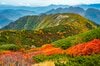 【登山】ここ数年で一番の美しさ「南アルプスの貴公子と女王の山岳紅葉」 日本の1-2-3位の高峰を望む  南アルプス・2025年