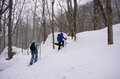 「雪の青森って、素敵だね！」 白銀の奥入瀬渓流をスノーシューで散策し、冬だけの大自然アート「氷瀑」を鑑賞する【「奥入瀬渓流ホテル」滞在型満喫プラン】の画像021