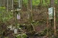 山中の植物に「春から初夏への移り変わり」を感じるお手軽ハイキングルート＜奥多摩・御前山＞の画像009