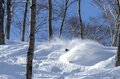 【斑尾高原スキー場・戸狩温泉スキー場】アンケートに答えてリフト券が “1500名様” に当たる「信州・飯山  リフト券プレゼントキャンペーン」開催の画像001