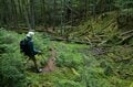 【首都圏近郊おすすめルート】金峰山へと続く幻の古道「御嶽道」が想像以上に素晴らしい！  実地踏査レポートの画像002