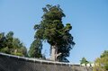 【首都圏近郊】まだ間に合うお花見登山「西丹沢・畦ヶ丸山」は桜だけじゃない欲張りプランを楽しめるんです！の画像020