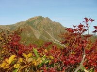 群馬県最大の温泉郷「みなかみ」訪れるなら “秋” でしょ！  旅を彩るスポット充実！  紅葉に燃ゆる百名山「谷川岳」 地元グルメに温泉など
