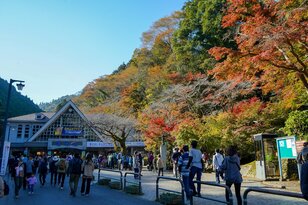 一度は行きたい！  紅葉シーズンの「高尾山」見ごろ＆混雑ピーク「11月攻略」には「早朝ハイキング」が最適！  絶景満喫レポ