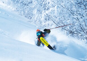 【斑尾高原・長野県】多彩なツリーランコースで通称「マダパウ」に魅了される
