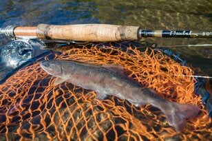 ヤマメのライズパーティーを釣る！ 「トラウトパーク軽井沢」 ＜長野県＞