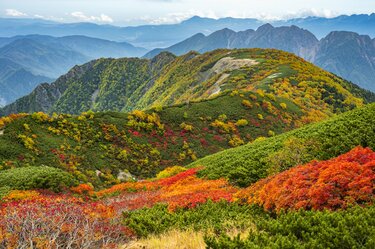 登山】ここ数年で一番の美しさ「南アルプスの貴公子と女王の山岳紅葉