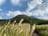 真紅に染まる「九州の屋根」大船山！  山頂の絶景「池映り紅葉」とは？【大分県・くじゅう連山】の画像004