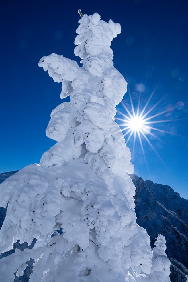 【雪山登山】冬の硫黄岳！ 白い世界とのコントラスト！ 圧巻の八ヶ岳ブルーと迫力のスノーモンスター〈長野県〉の画像011
