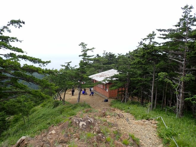 【北海道の山】花の名山として知られる日高「アポイ岳」は、夏の登山も魅力的！ 2025年・北海道の画像006