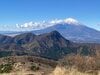 冬こそ登りたい「関東の低山」5選！  澄んだ空に「富士山」が映える＆季節限定の景色・現象も楽しめる山！
