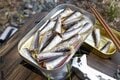 「“CAN”P料理でガシガシ使ってます」 缶詰博士がヘビロテしているクッキングギアはこれ！【缶詰博士の缶たん”CAN”P料理 vol.57】の画像007