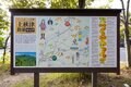 【ミカンの名産地＜和歌山県田辺市＞で聞きました】「キレイに白い筋がとれる剥き方」＆「美味しいミカンの見分け方」の画像010