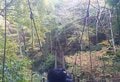 「ミシュラン三つ星」の絶景地「高尾山」で紅葉ハイキング！  しっかり歩ける「稲荷山コース」＆フォトスポットの人気吊橋「4号路」で秋景色を堪能！の画像003