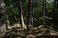 【首都圏近郊おすすめルート】金峰山へと続く幻の古道「御嶽道」が想像以上に素晴らしい！  実地踏査レポートの画像005