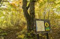 【紅葉登山】「山頂までわずか15分！」 雲海の名所“小熊山”で森歩き＆新雪眩しい北アルプスの山稜を望む“黒沢高原”へ  長野県大町市・2023年の画像005