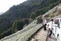 富士山を望む絶景茶畑テラス、イケメン茶農家集団、凄腕料理人の絶品ランチ！　フランス人茶商、ステファン・ダントンが茶産地静岡の本気度に唸る！【静岡県・静岡市】の画像003
