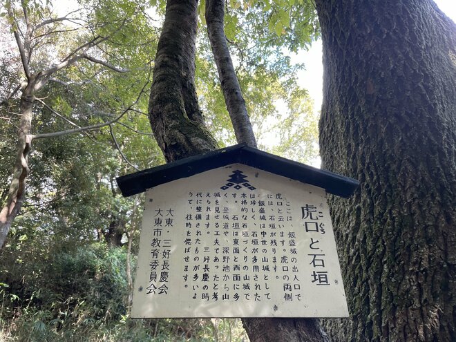 天下人・三好長慶の居城「飯盛城跡」で「絶景のハシゴ」を楽しめる＜歴史巡り里山ハイキング＞とは？【里山アドベンチャー！ソトアソ日和 vol.9】の画像011