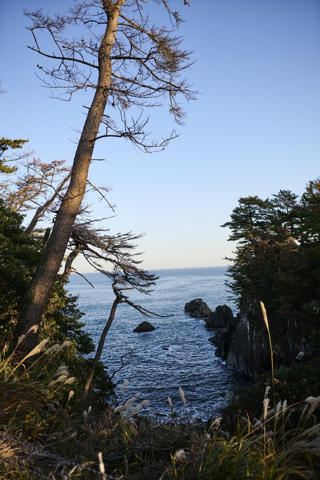 宮城のキャンパーにはお馴染みの絶景「神割崎キャンプ場」の朝日がすごい【絶景キャンプ場ガイド-言葉を失うほどの風景に会いに行こう- vol.39】の画像012
