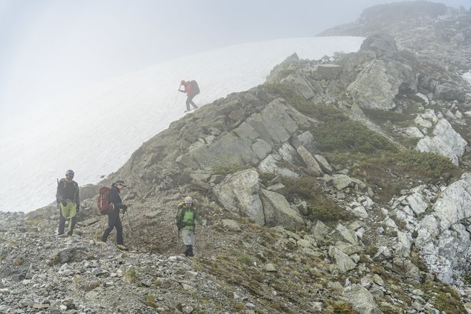登山道整備完了！ 最新ルート状況「栂池高原〜白馬乗鞍岳〜白馬岳」＜北アルプス＞の画像013
