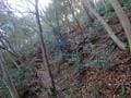 足元から広がる「ほぼ360度」絶景！  山頂手前の岩稜「白髪岳」からのダイナミックな展望は冬がおすすめ！  2時間ハイキングレポ【兵庫県丹波篠山市】の画像006
