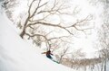 パウダーを狙うなら外せない！ 世界トップクラスの雪が間違いなく楽しめるエリア「北海道パウダーベルト」を知っていますか？の画像012