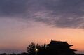 【バードウォッチング】必見！ 古都・平城宮跡の夕焼けに舞う6万羽のツバメ  “日本最大級”のねぐら入りに460人が魅了された！  奈良県｜2026年の画像011