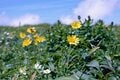 「出羽三山をめぐる」初夏の東北！ 羽黒山・湯殿山 “SEA TO SUMMIT”スタイルで月山へ 【崖っぷちYUKIの珍道中】の画像018