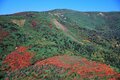 今年は色づきがブラボー！「本州で一番早い紅葉」と名峰・岩手山を眼前に望む絶景のトレイル＜前編・岩手県 三ツ石山＞【今日も山旅気分 vol.9】の画像001